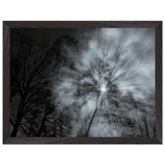 1395f319-9d37-40e5-82af-51e76b7ebf38