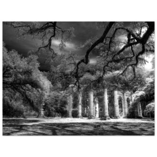 Old Sheldon Church Ruins in South Carolina Lowcountry - Pineapple Fountain in Charleston, South Carolina – 30x40 large-format wall art print, unframed