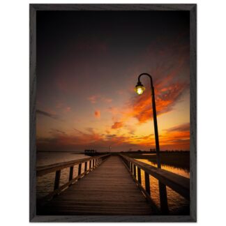 220b103a-31a0-4ff2-ae94-57a01dabed02