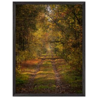 2dca3862-a118-4e96-8175-e29ec3c03cf3