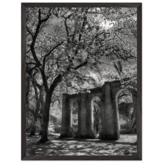 Old Sheldon Church Ruins in South Carolina Lowcountry – framed wall art print, ready to hang