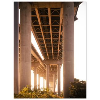 Ravenel Bridge in Charleston, South Carolina – 30x40 large-format wall art print, unframed