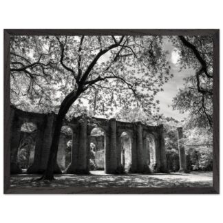 Old Sheldon Church Ruins in South Carolina Lowcountry – framed wall art print, ready to hang