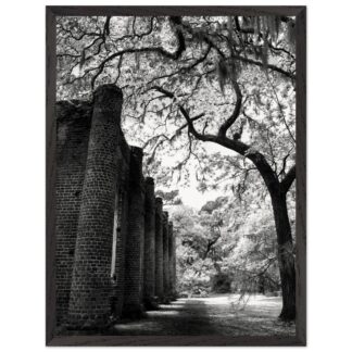 Old Sheldon Church Ruins in South Carolina Lowcountry – framed wall art print, ready to hang