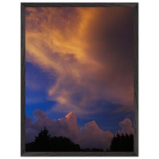 87d07587-7e54-4bff-9be7-6186c5908b9f