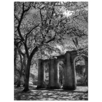 Old Sheldon Church Ruins in South Carolina Lowcountry – 30x40 large-format wall art print, unframed