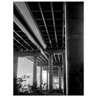 Ravenel Bridge in Charleston, South Carolina – 30x40 large-format wall art print, unframed