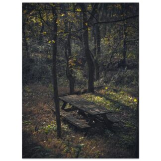 Hidden Picnic Table – 30×40 Print