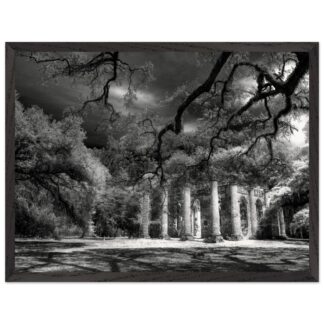 Old Sheldon Church Ruins in South Carolina Lowcountry – framed wall art print, ready to hang
