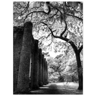 Old Sheldon Church Ruins in South Carolina Lowcountry – 30x40 large-format wall art print, unframed