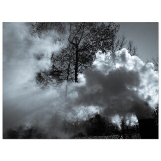 Smoke and Light – Between the Trees - 30×40 Print