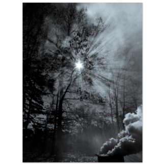 Smoke and Light – Through the Trees - 30×40 Fine Art Print (Unframed)