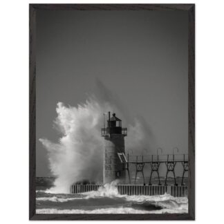 62263c8e-25bd-4ada-89bd-a4349be8ca30