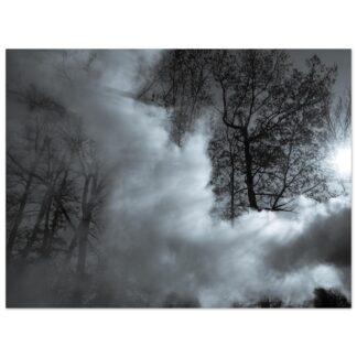 Smoke and Light – The Clearing - 30×40 Print