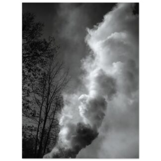 Smoke and Light – Woodland Veil - 30×40 Fine Art Print (Unframed)