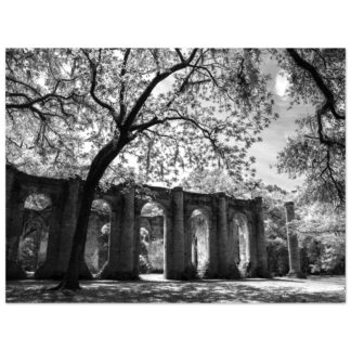 Old Sheldon Church Ruins - 30×40 Print