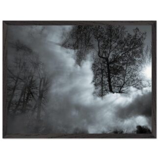 b494a568-0de1-413f-9af6-0132ac1655f4