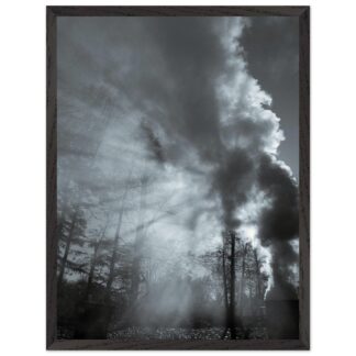 e2465ef6-6b05-4a6a-8cef-a66be2ac8146